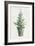 White and Bright Christmas Tree I-Danhui Nai-Framed Art Print