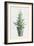 White and Bright Christmas Tree I-Danhui Nai-Framed Art Print