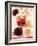 White and Dark Chocolate Cherries-Joff Lee-Framed Photographic Print