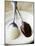 White and Dark Couverture on Spoons-Debi Treloar-Mounted Photographic Print