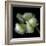 White And Green Parrot Tulip-Magda Indigo-Framed Photographic Print