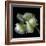 White And Green Parrot Tulip-Magda Indigo-Framed Photographic Print