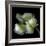 White And Green Parrot Tulip-Magda Indigo-Framed Photographic Print