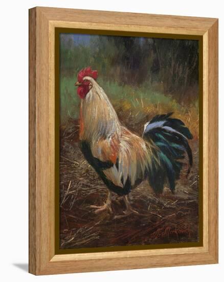 White And Green Rooster-Nenad Mirkovich-Framed Stretched Canvas