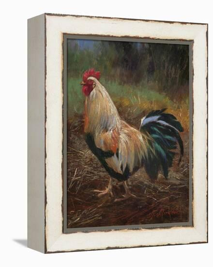 White And Green Rooster-Nenad Mirkovich-Framed Stretched Canvas