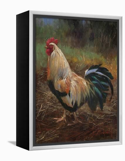 White And Green Rooster-Nenad Mirkovich-Framed Stretched Canvas