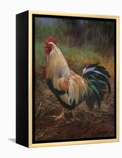 White And Green Rooster-Nenad Mirkovich-Framed Stretched Canvas