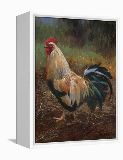 White And Green Rooster-Nenad Mirkovich-Framed Stretched Canvas