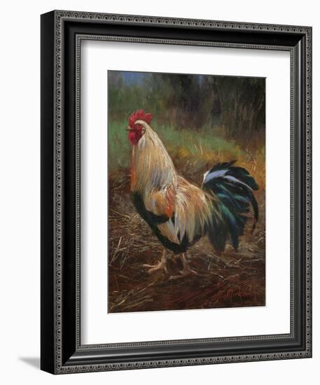 White And Green Rooster-Nenad Mirkovich-Framed Premium Giclee Print