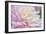 White and Pink Dahlia-Cora Niele-Framed Photographic Print