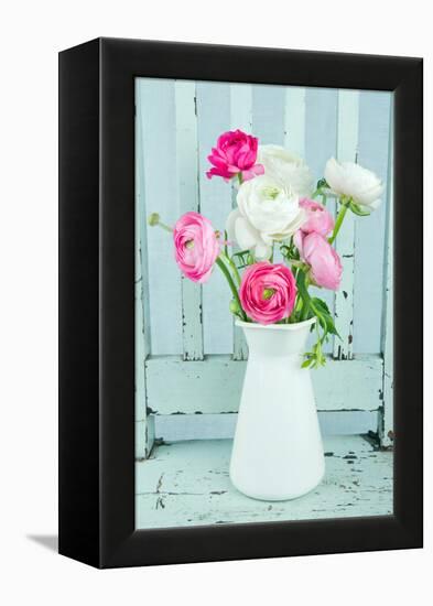 White and Pink Ranunculus Flowers-Anna-Mari West-Framed Premier Image Canvas