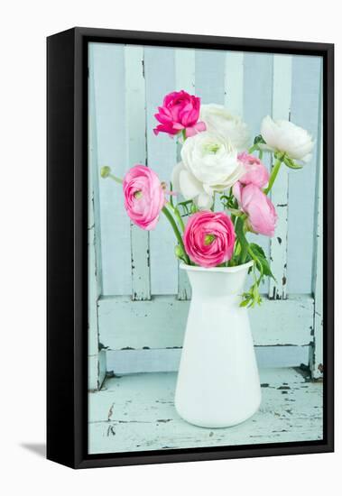 White and Pink Ranunculus Flowers-Anna-Mari West-Framed Premier Image Canvas