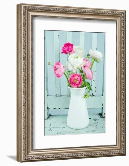 White and Pink Ranunculus Flowers-Anna-Mari West-Framed Photographic Print