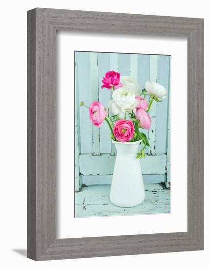 White and Pink Ranunculus Flowers-Anna-Mari West-Framed Photographic Print