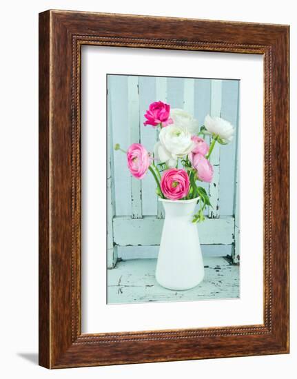 White and Pink Ranunculus Flowers-Anna-Mari West-Framed Photographic Print