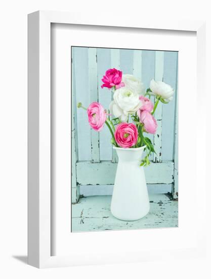 White and Pink Ranunculus Flowers-Anna-Mari West-Framed Photographic Print