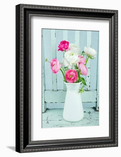 White and Pink Ranunculus Flowers-Anna-Mari West-Framed Photographic Print