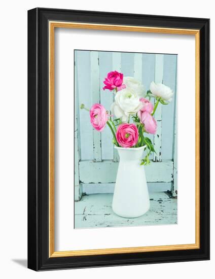 White and Pink Ranunculus Flowers-Anna-Mari West-Framed Photographic Print