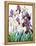 White and Purple Irises-Christopher Ryland-Framed Premier Image Canvas