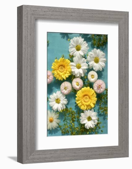 White and Yellow Blossoms in the Water-Alaya Gadeh-Framed Photographic Print