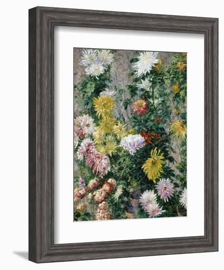 White and Yellow Chrysanthemums, 1893-Gustave Caillebotte-Framed Giclee Print