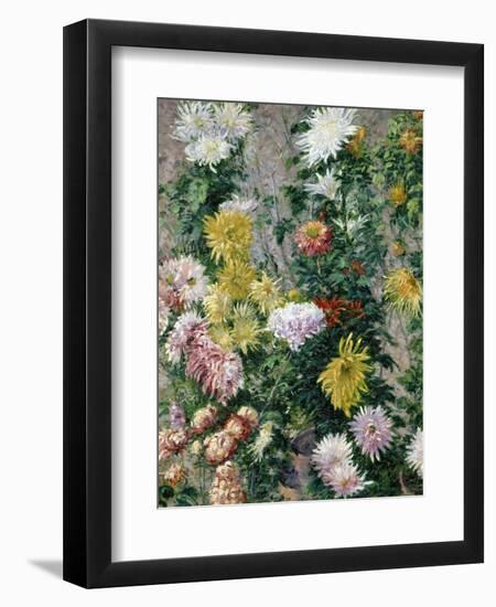 White and Yellow Chrysanthemums, 1893-Gustave Caillebotte-Framed Giclee Print