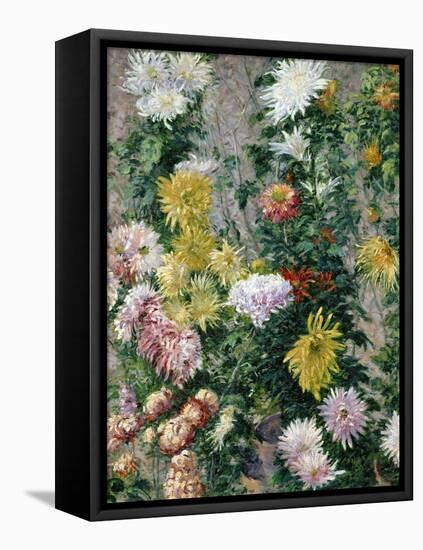 White and Yellow Chrysanthemums, 1893-Gustave Caillebotte-Framed Premier Image Canvas