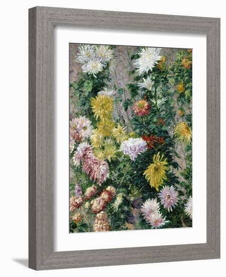 White and Yellow Chrysanthemums, 1893-Gustave Caillebotte-Framed Giclee Print