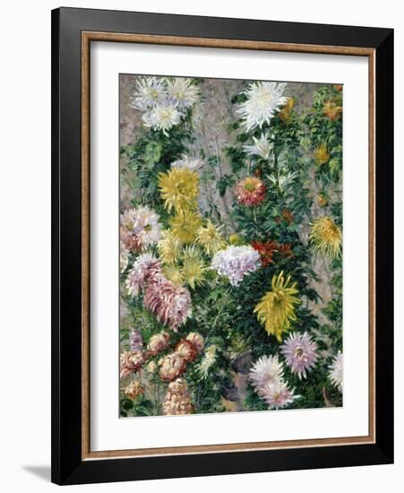 White and Yellow Chrysanthemums, 1893-Gustave Caillebotte-Framed Giclee Print