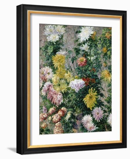 White and Yellow Chrysanthemums, 1893-Gustave Caillebotte-Framed Giclee Print