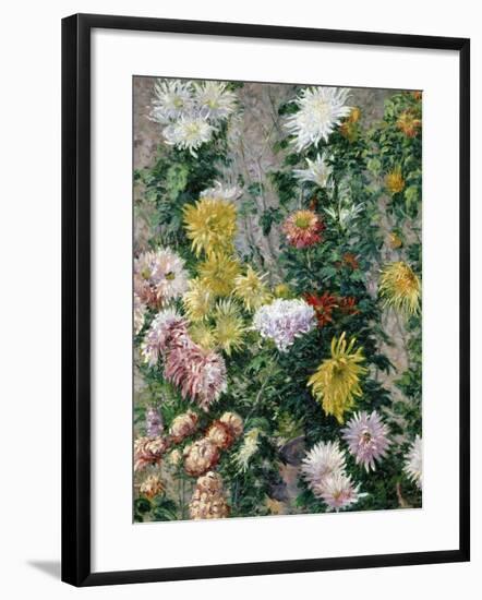 White and Yellow Chrysanthemums, 1893-Gustave Caillebotte-Framed Giclee Print