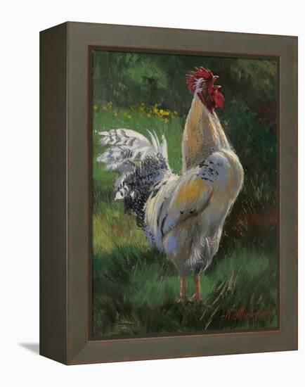 White And Yellow Rooster-Nenad Mirkovich-Framed Stretched Canvas