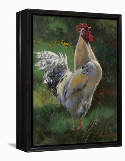 White And Yellow Rooster-Nenad Mirkovich-Framed Stretched Canvas