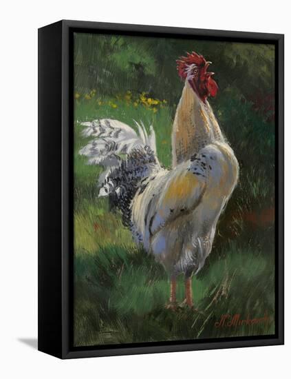 White And Yellow Rooster-Nenad Mirkovich-Framed Stretched Canvas