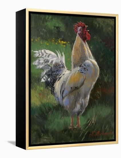 White And Yellow Rooster-Nenad Mirkovich-Framed Stretched Canvas