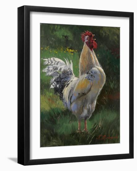 White And Yellow Rooster-Nenad Mirkovich-Framed Art Print