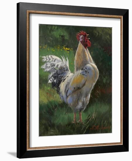 White And Yellow Rooster-Nenad Mirkovich-Framed Art Print