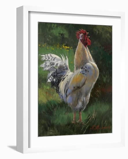 White And Yellow Rooster-Nenad Mirkovich-Framed Art Print