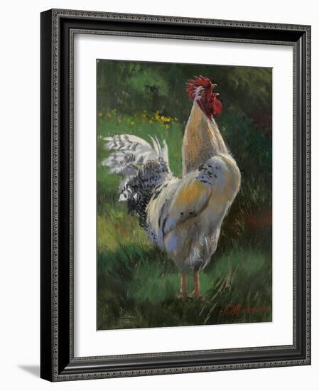 White And Yellow Rooster-Nenad Mirkovich-Framed Art Print