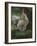 White And Yellow Rooster-Nenad Mirkovich-Framed Premium Giclee Print