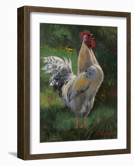 White And Yellow Rooster-Nenad Mirkovich-Framed Premium Giclee Print