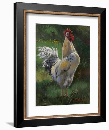 White And Yellow Rooster-Nenad Mirkovich-Framed Art Print