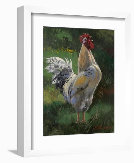 White And Yellow Rooster-Nenad Mirkovich-Framed Art Print