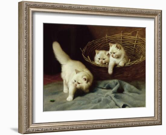 White Angora Kittens With a Beetle, 1929-Arthur Heyer-Framed Giclee Print