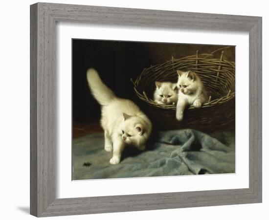 White Angora Kittens with a Beetle-Arthur Heyer-Framed Giclee Print