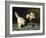 White Angora Kittens with a Beetle-Arthur Heyer-Framed Giclee Print