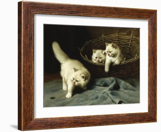 White Angora Kittens with a Beetle-Arthur Heyer-Framed Giclee Print