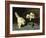 White Angora Kittens with a Beetle-Arthur Heyer-Framed Giclee Print