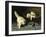 White Angora Kittens with a Beetle-Arthur Heyer-Framed Giclee Print