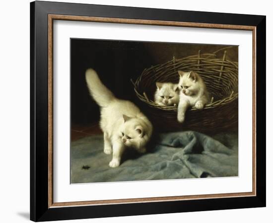 White Angora Kittens with a Beetle-Arthur Heyer-Framed Giclee Print